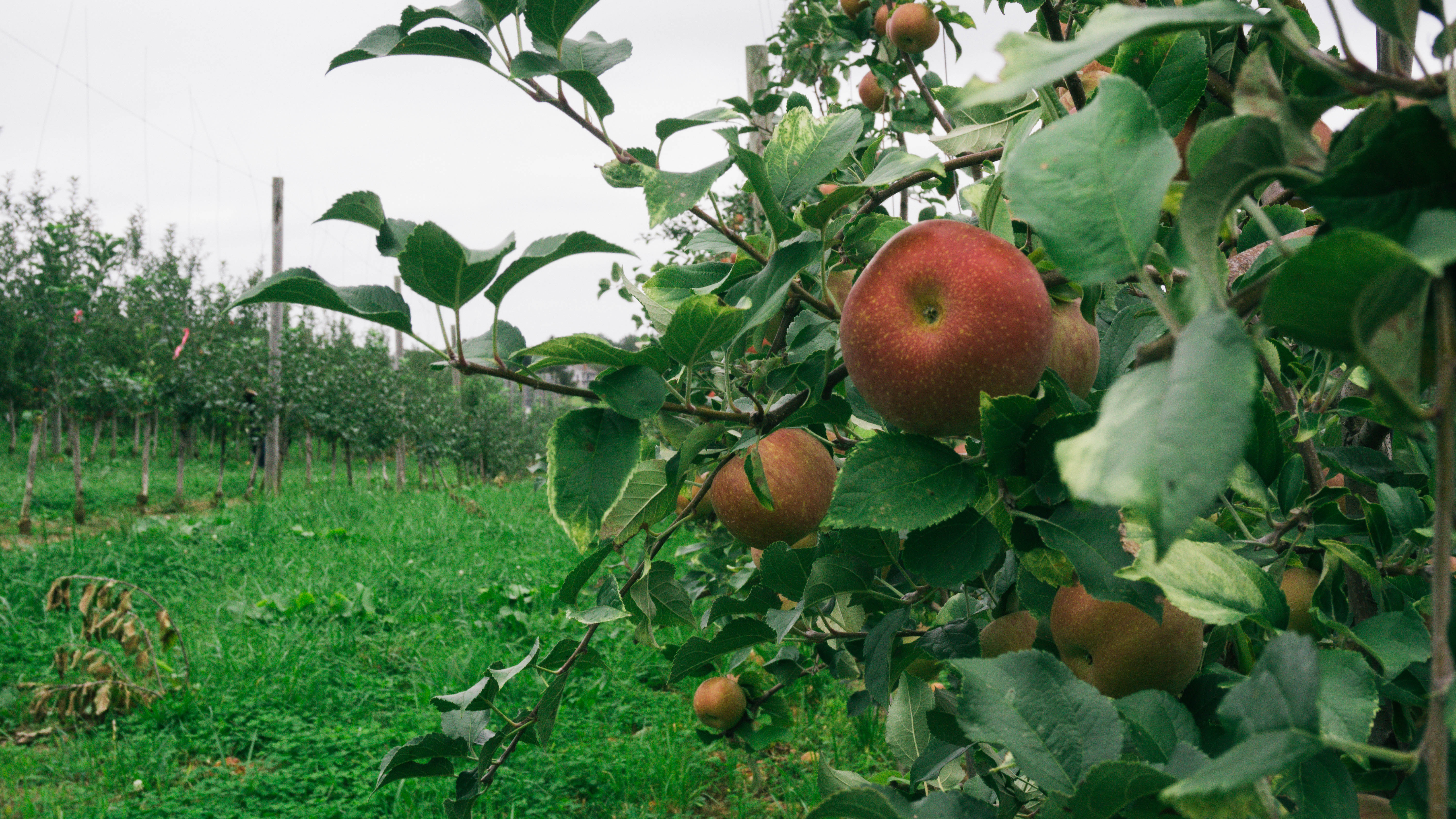 Webers Farm Image 1