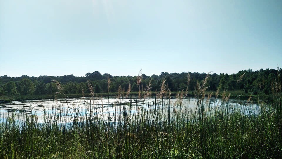 Patuxent Wildlife Refuge