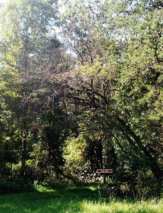 Patuxent Wildlife Refuge