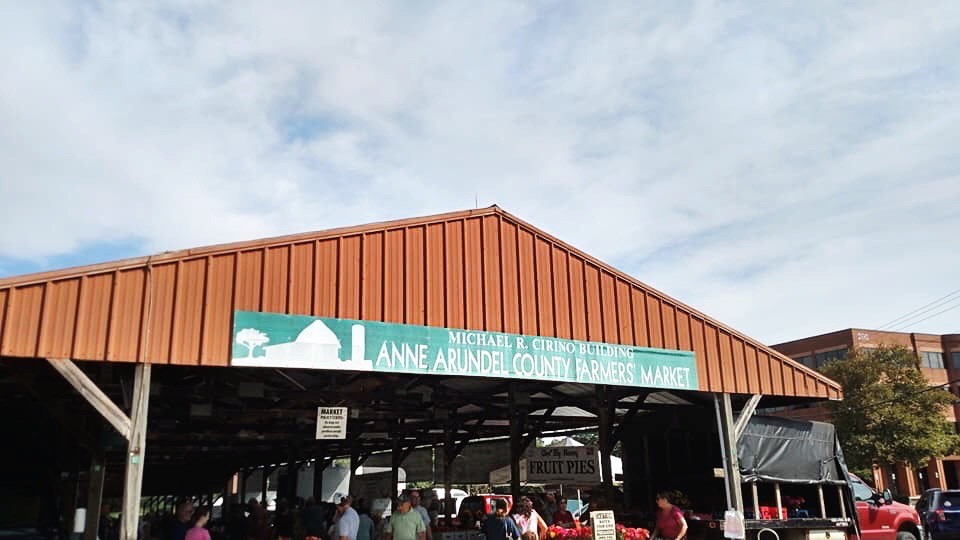 fresh market annapolis
